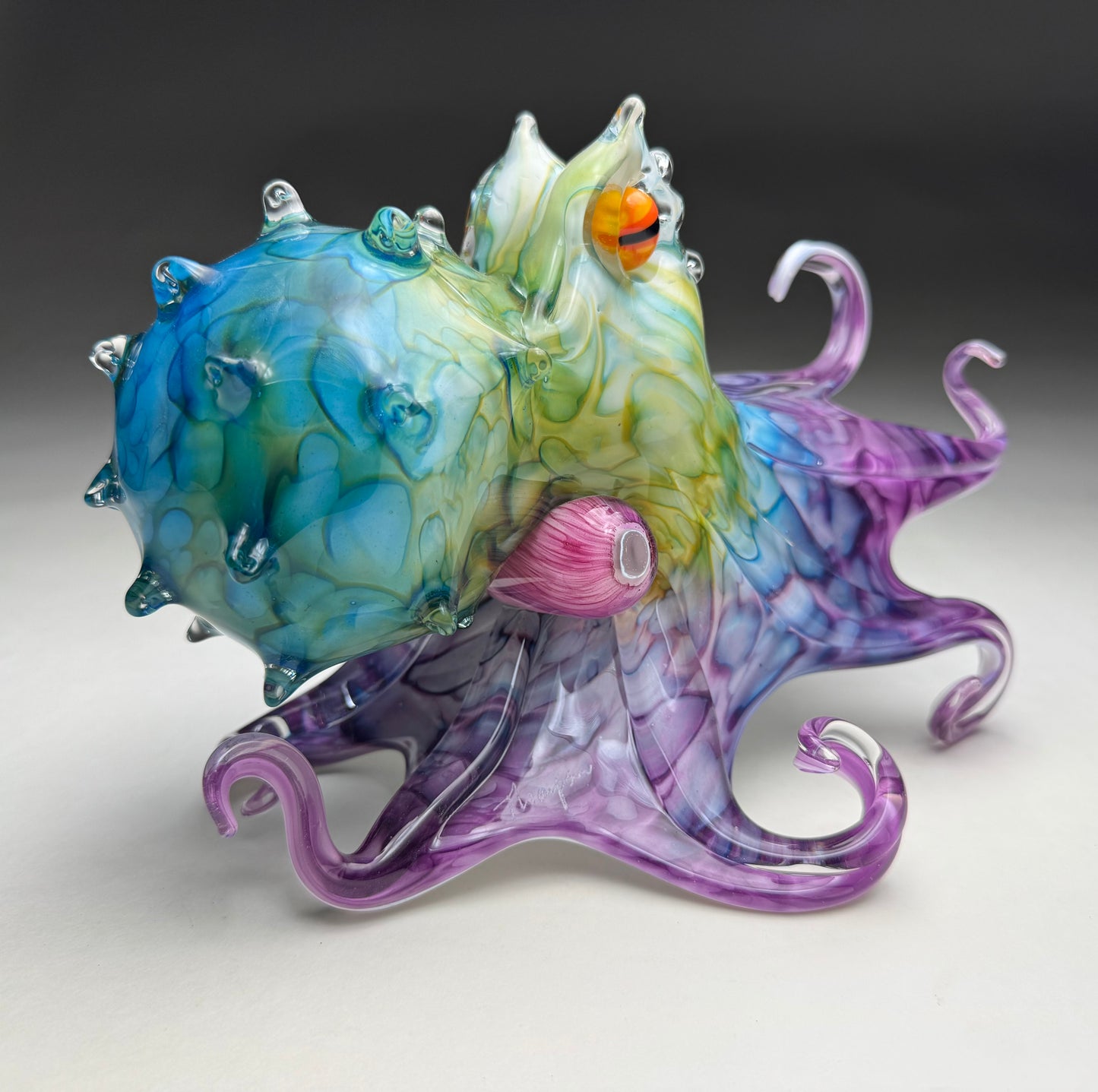 Molokini Octopus