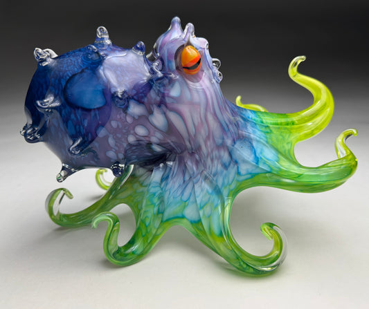 Honaunau Octopus