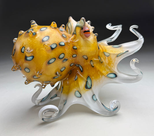 Blue Ringed Octopus (gold)