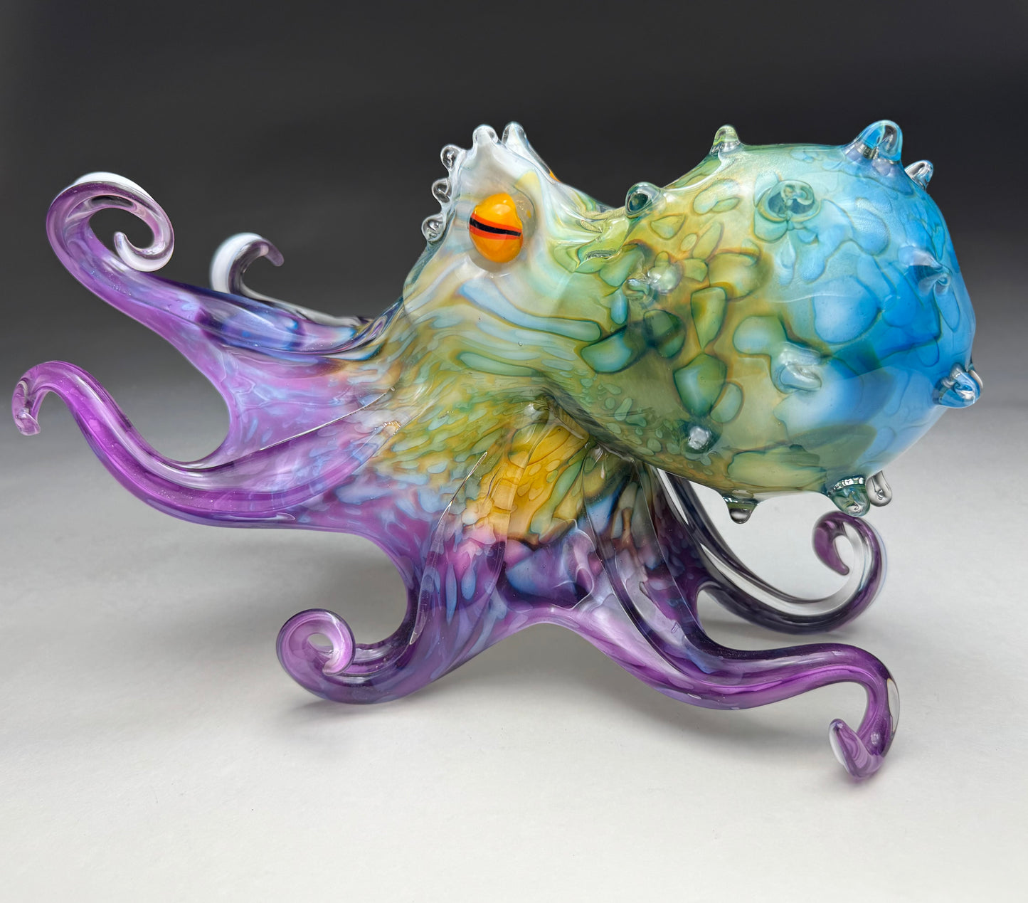Molokini Octopus