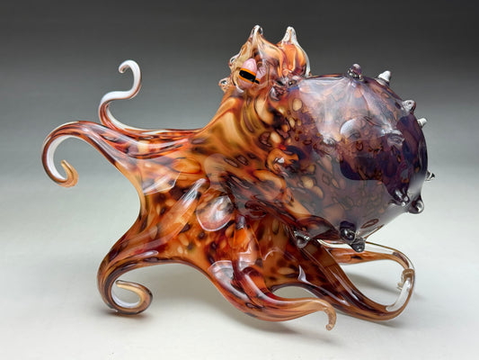 Pacific Octopus