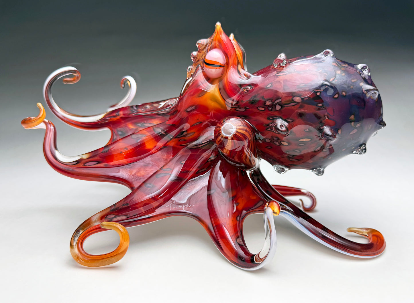 Mauri Octopus