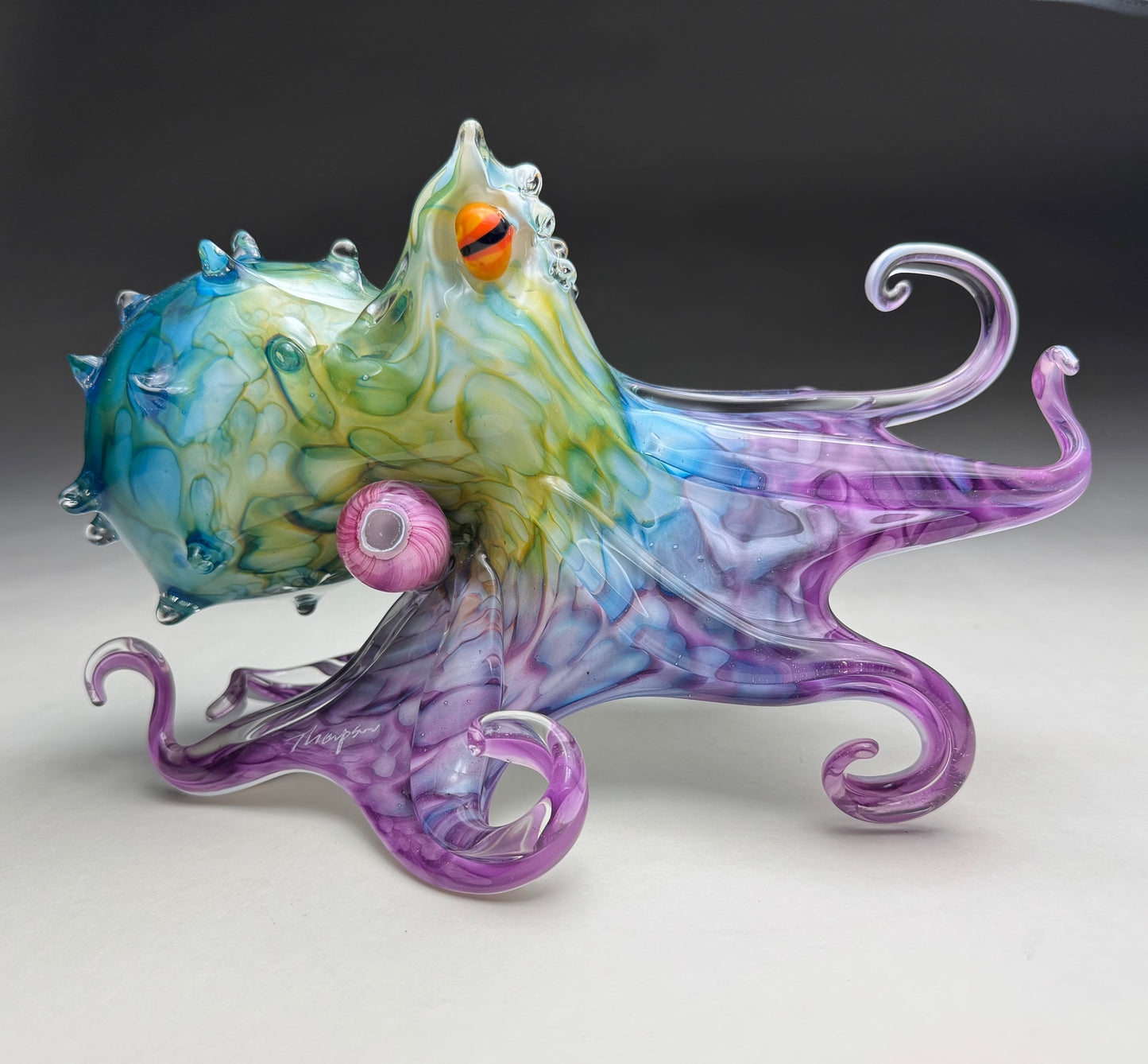 Molokini Octopus