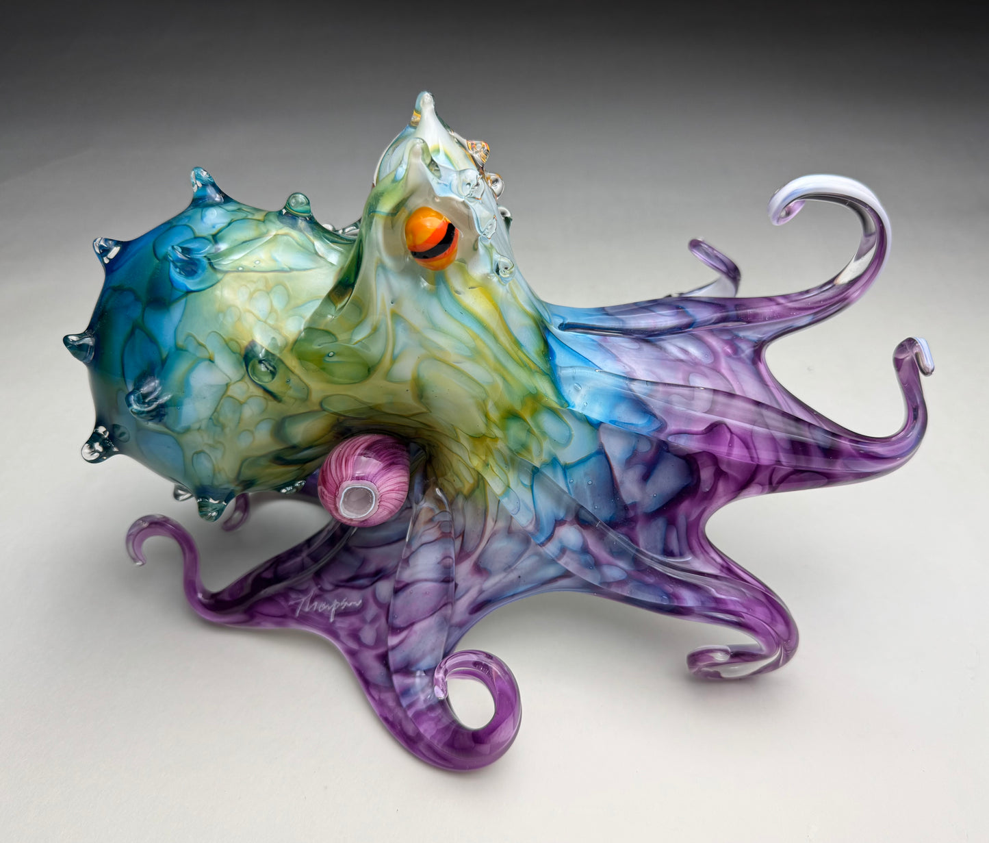 Molokini Octopus