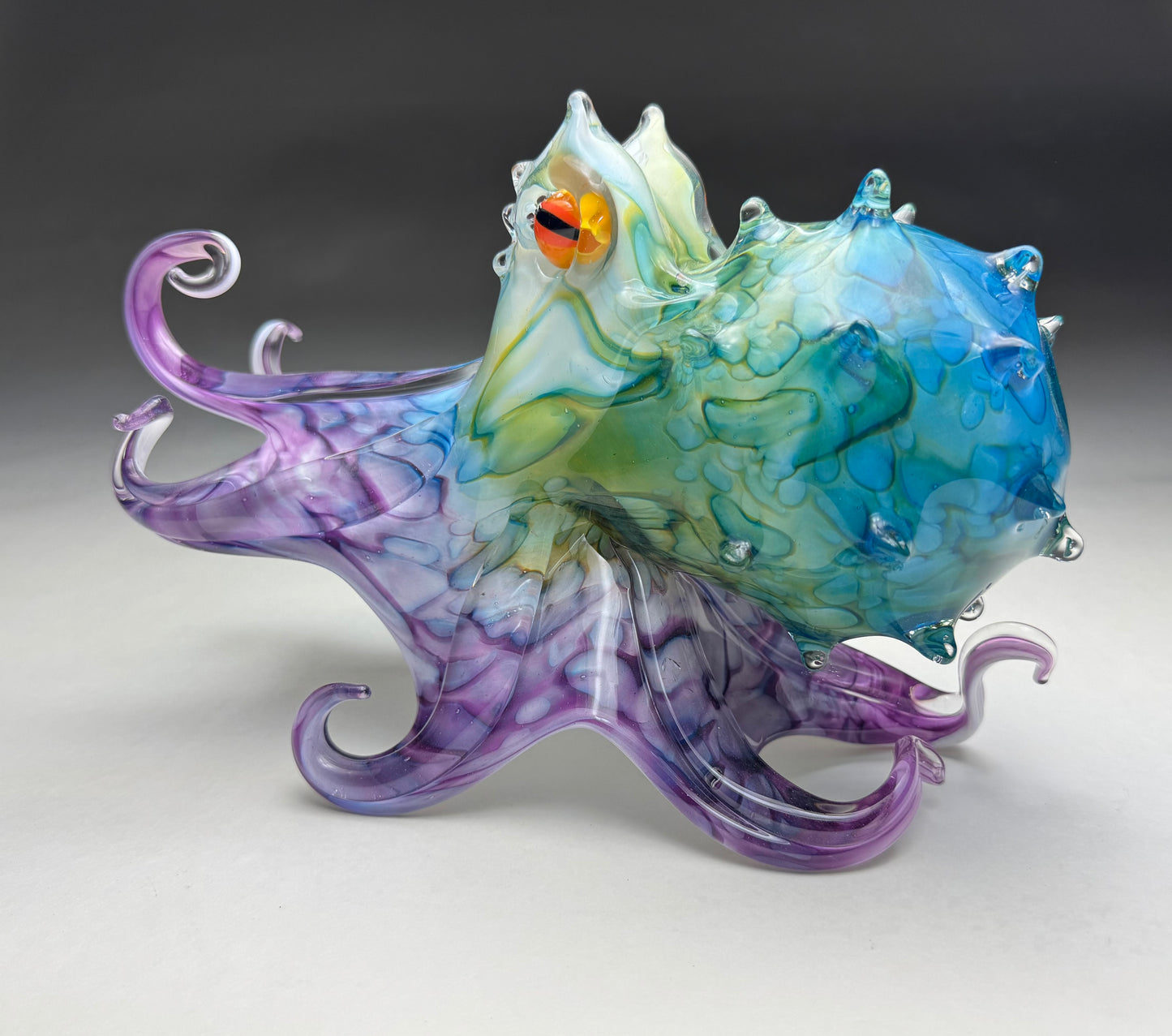 Molokini Octopus