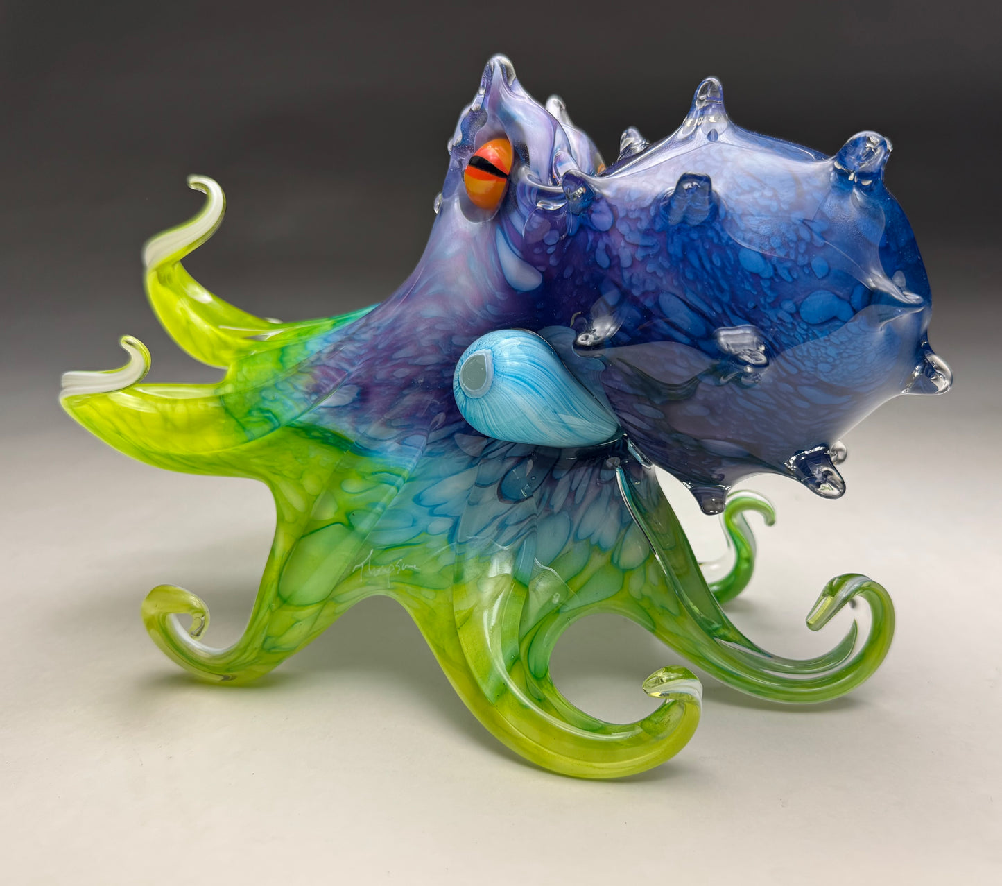Honaunau Octopus