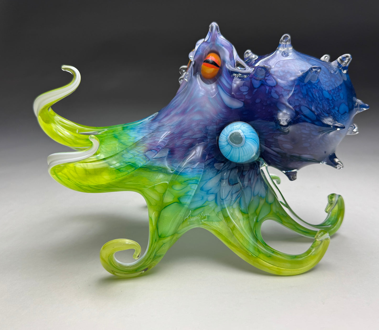 Honaunau Octopus