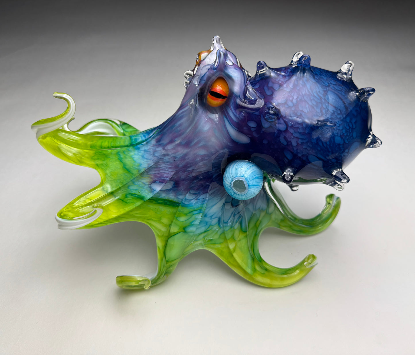Honaunau Octopus