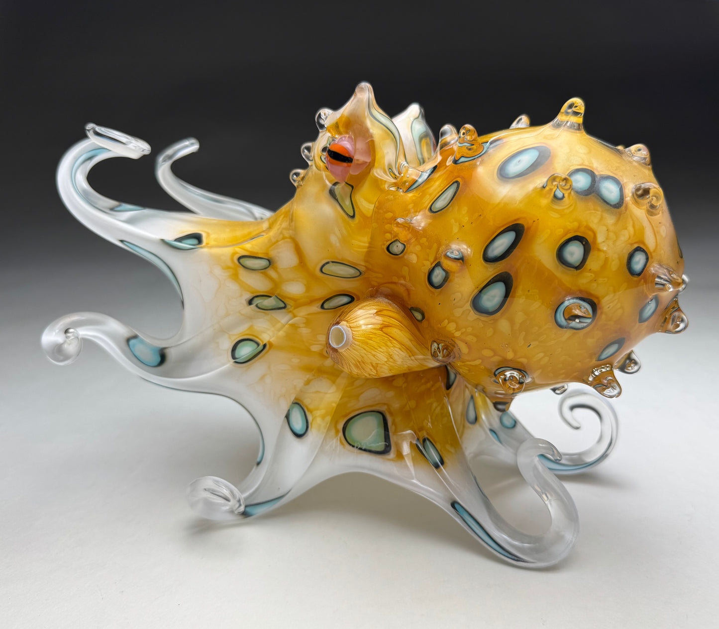 Blue Ringed Octopus (gold)
