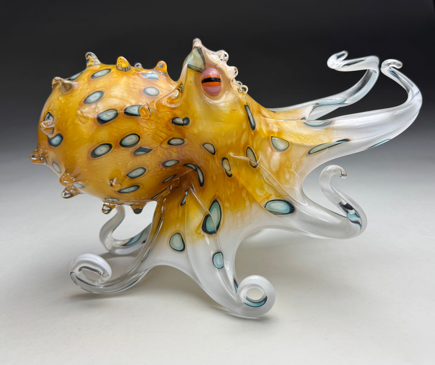 Blue Ringed Octopus (gold)