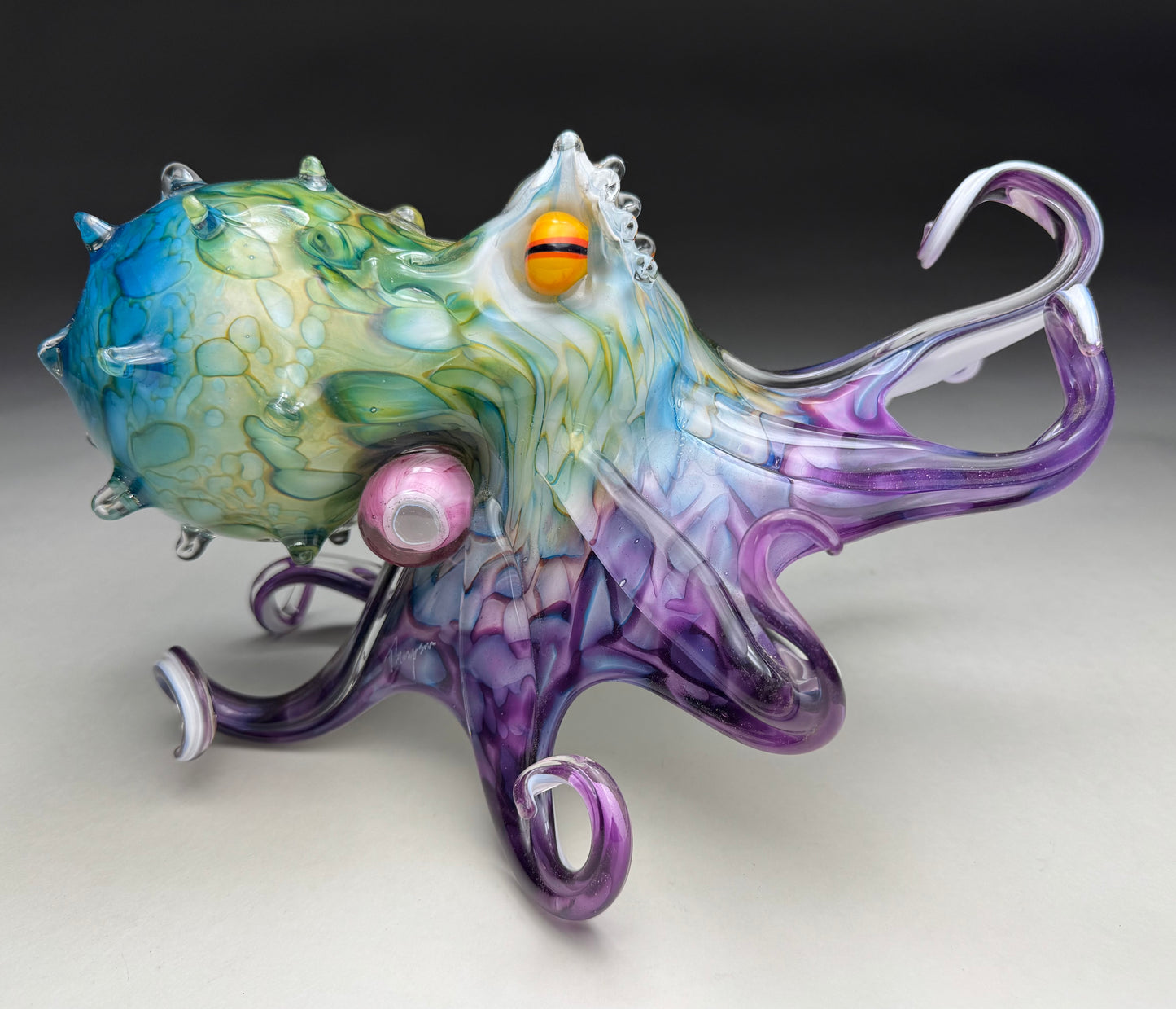 Molokini Octopus