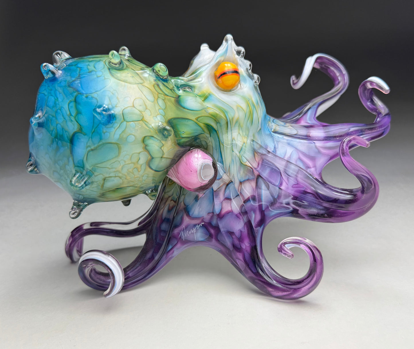 Molokini Octopus