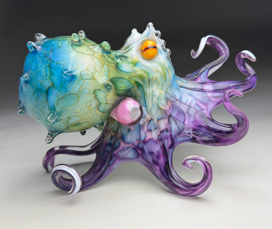 Molokini Octopus
