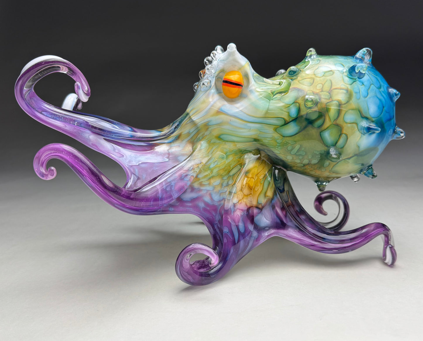Molokini Octopus
