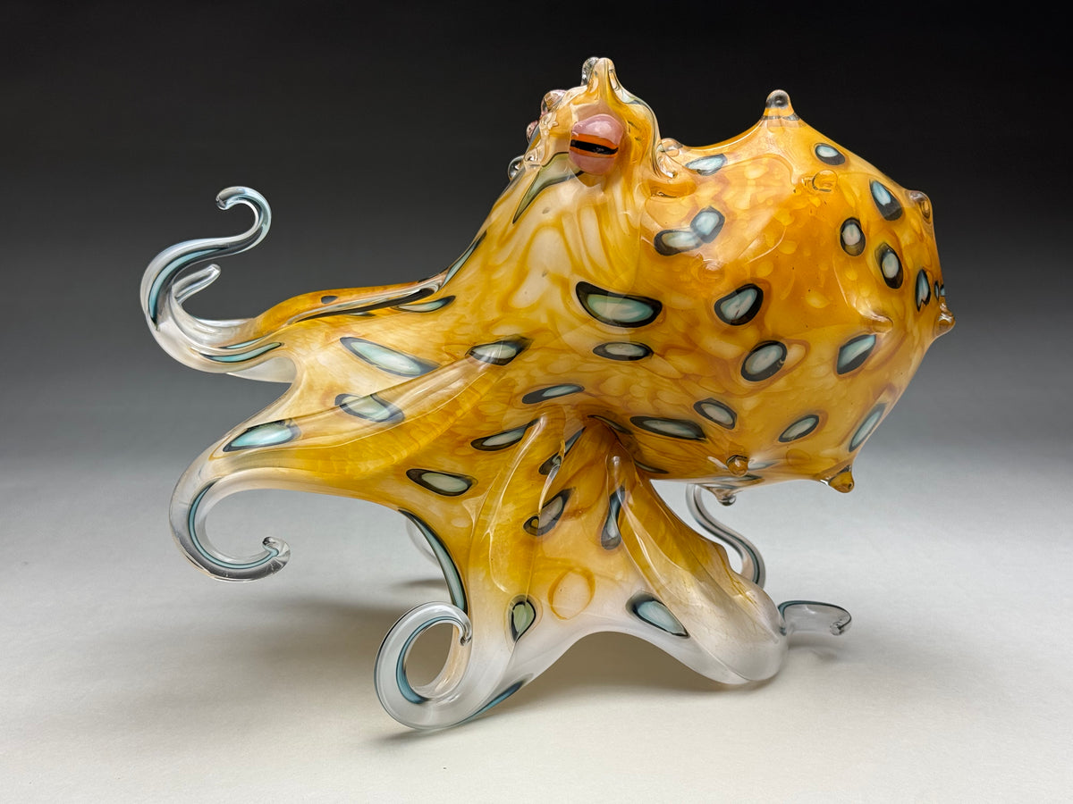 Blue Ringed Octopus (gold)