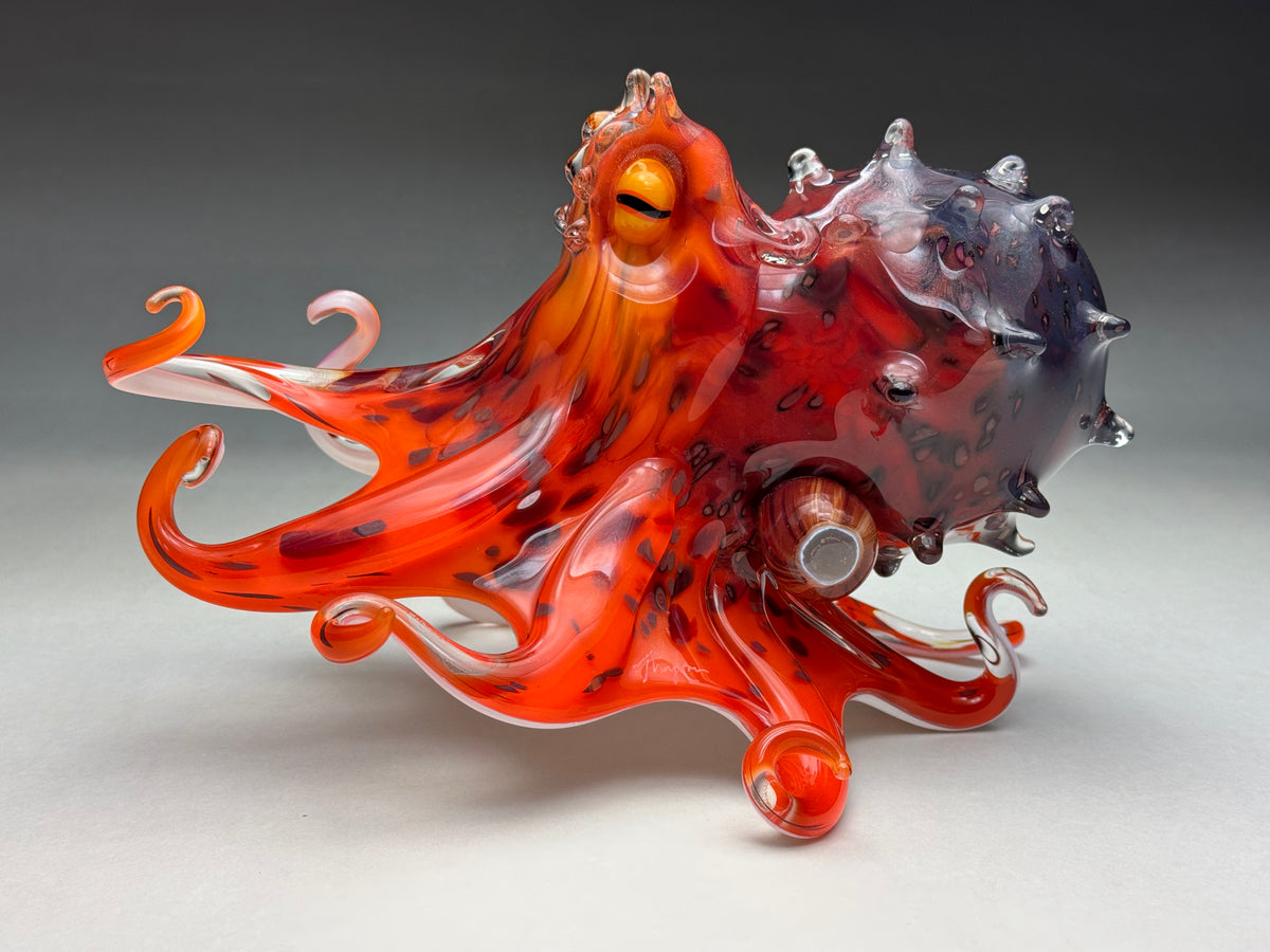Mauri Octopus