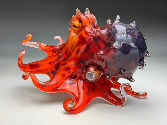 Mauri Octopus