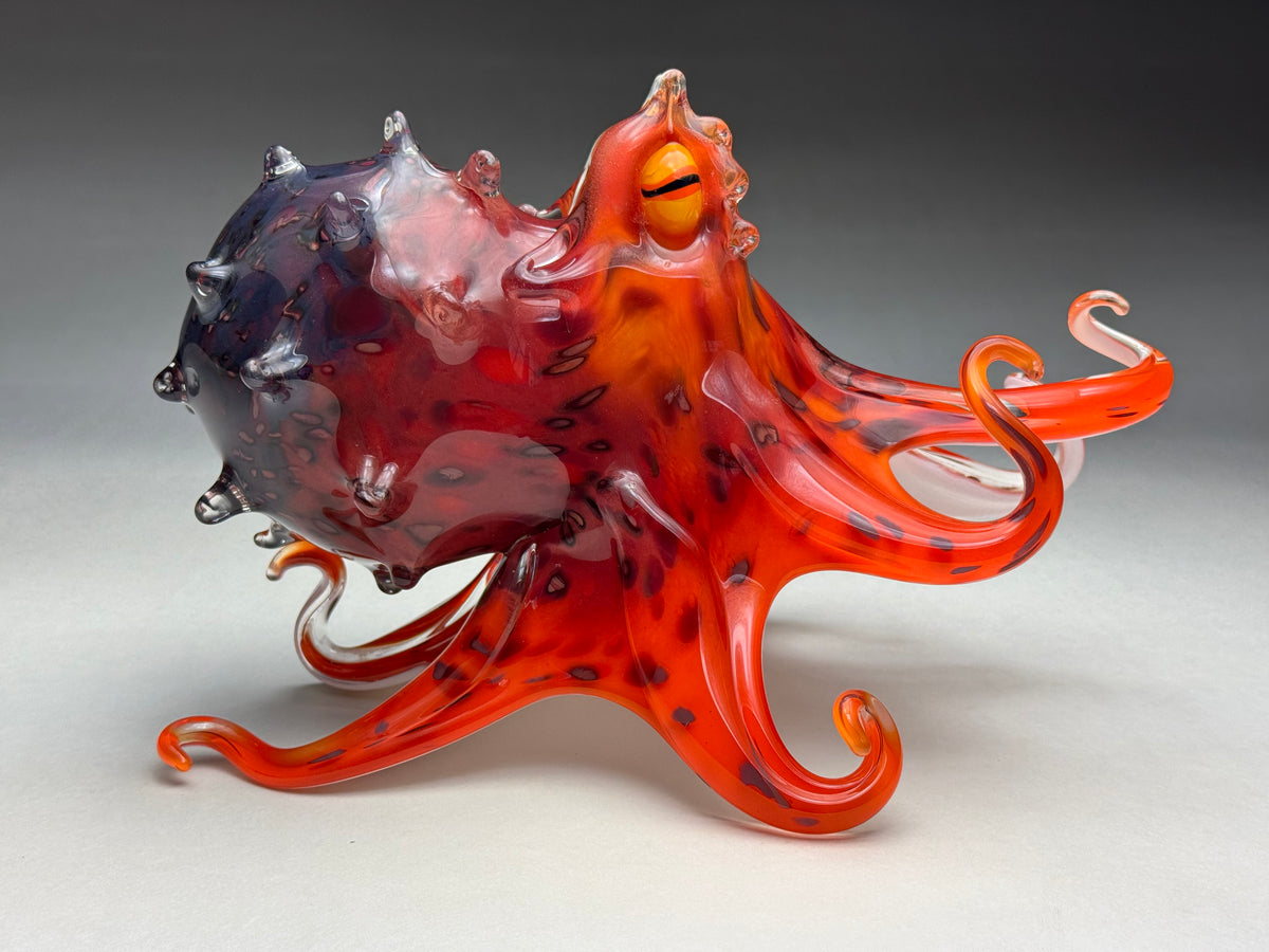 Mauri Octopus