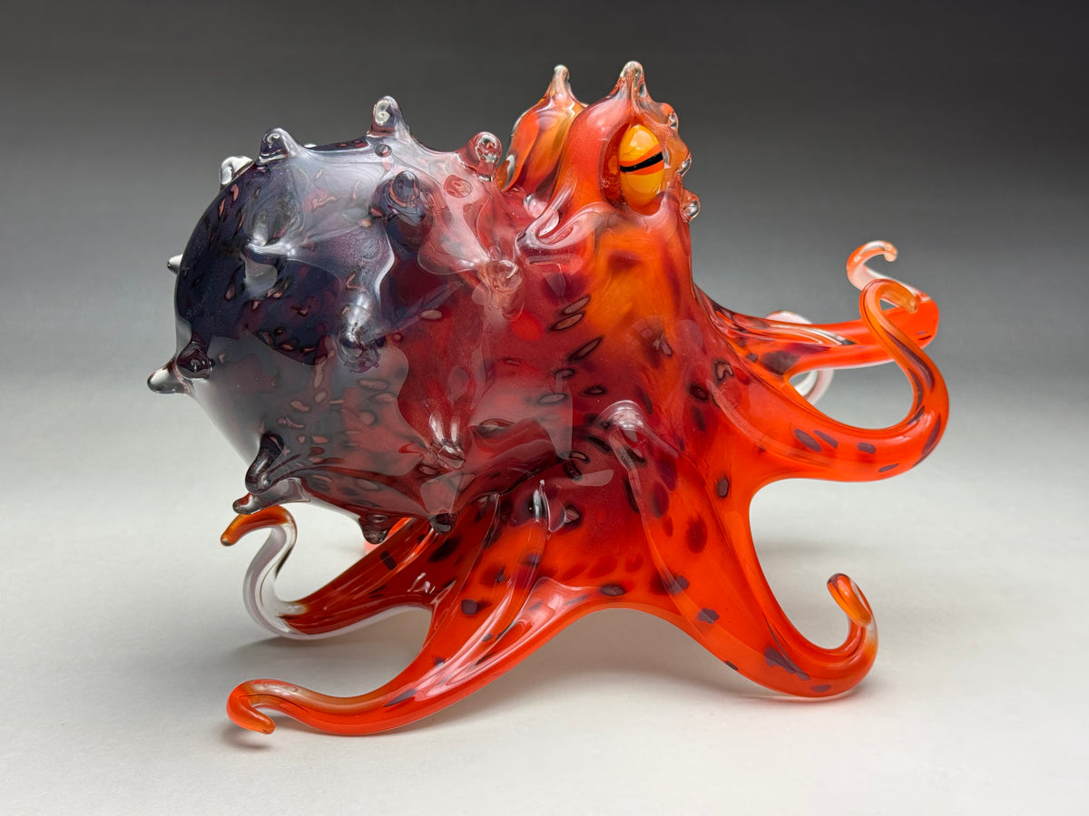 Mauri Octopus