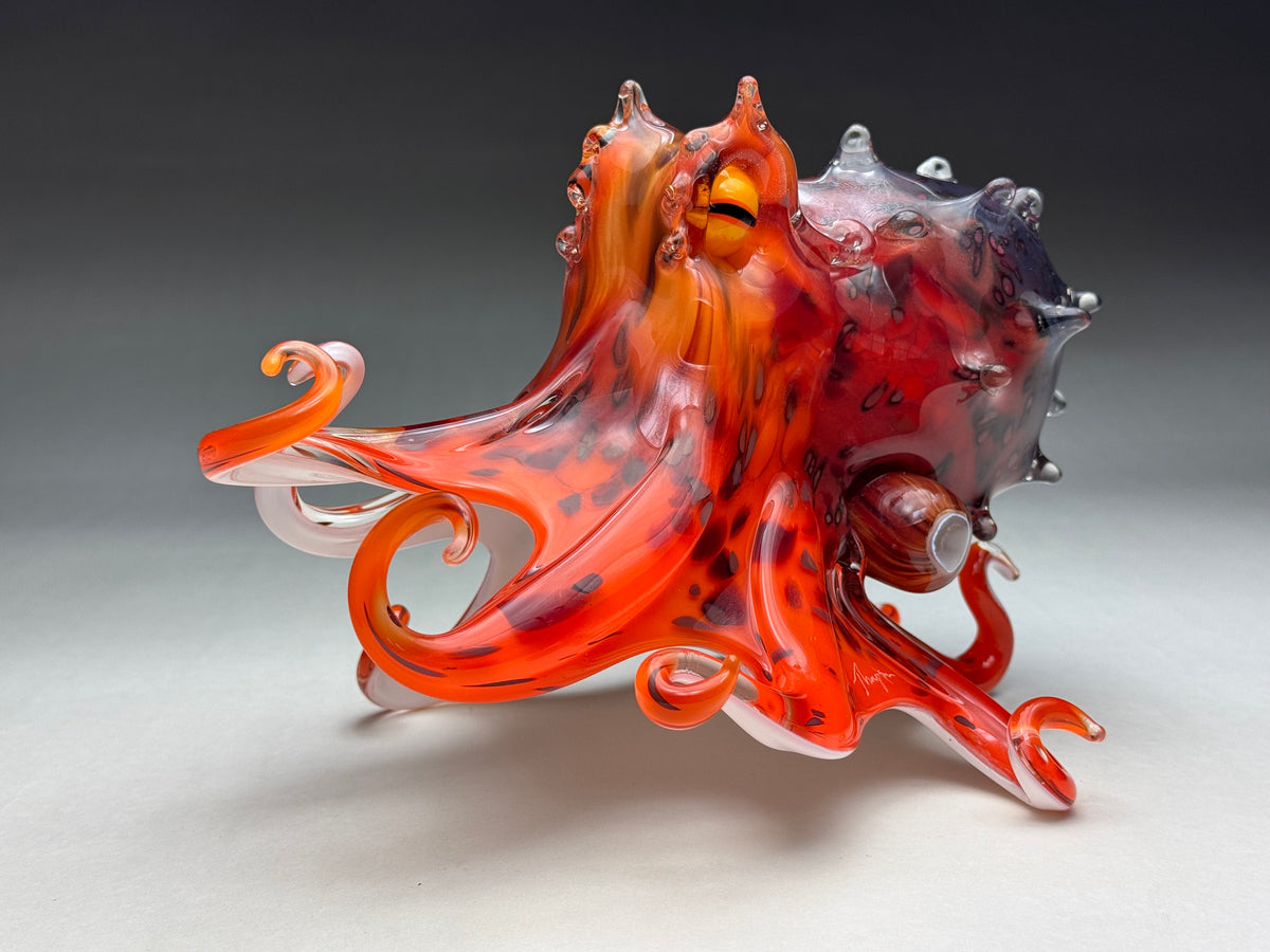 Mauri Octopus