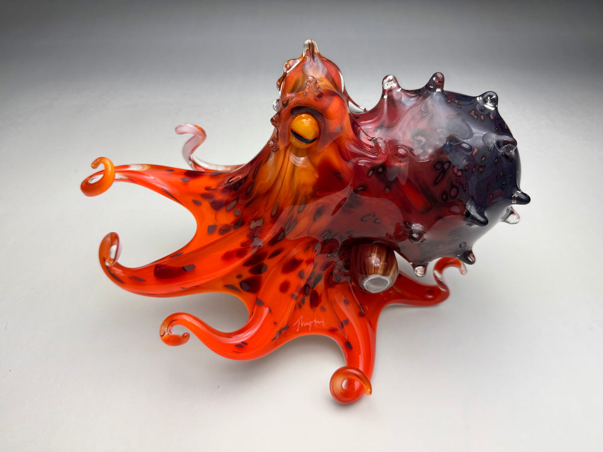 Mauri Octopus