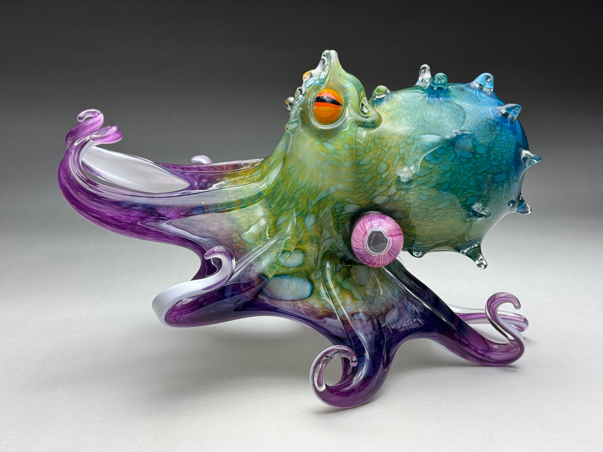 Molokini Octopus