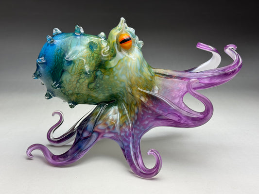 Molokini Octopus