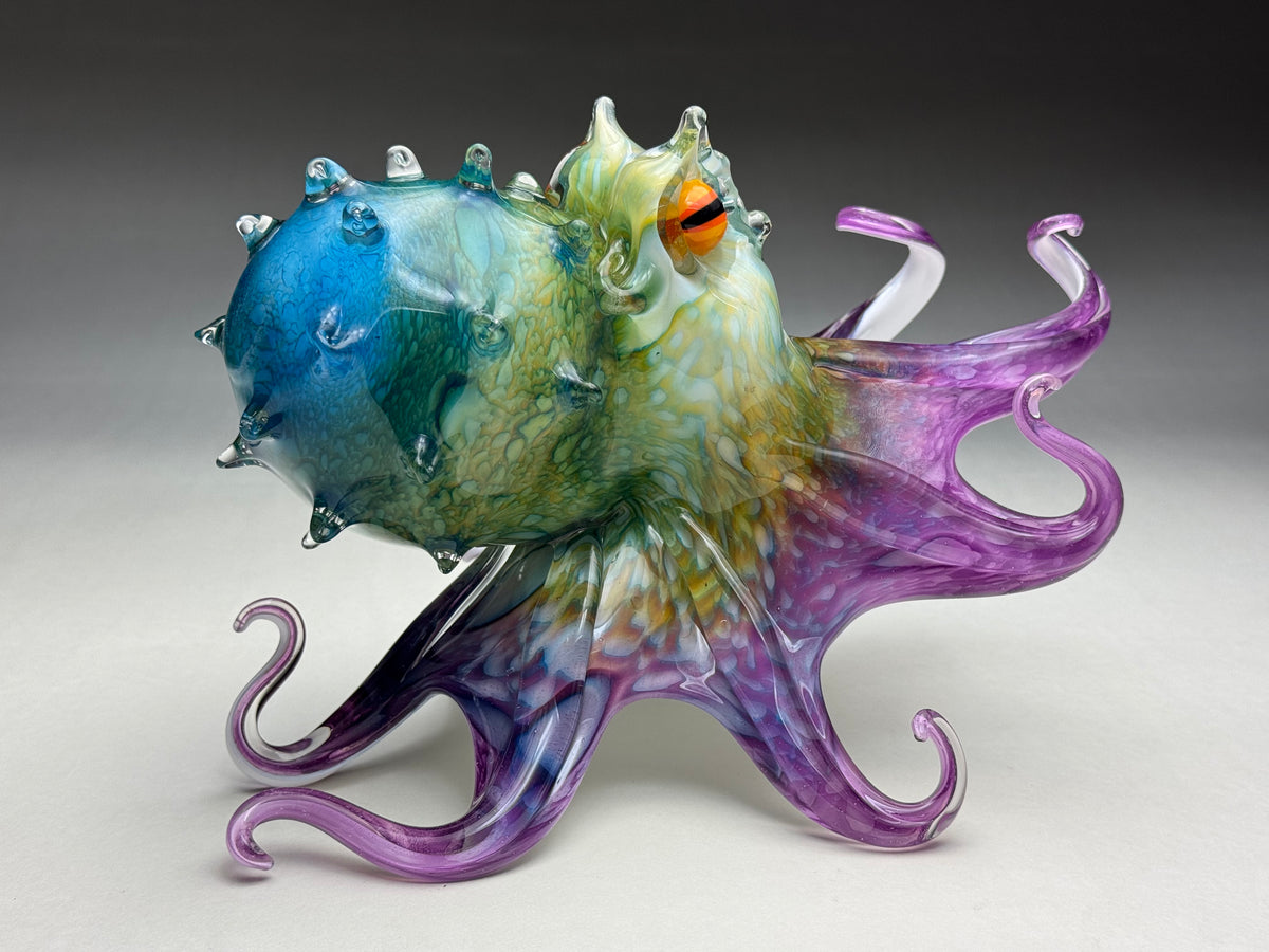Molokini Octopus