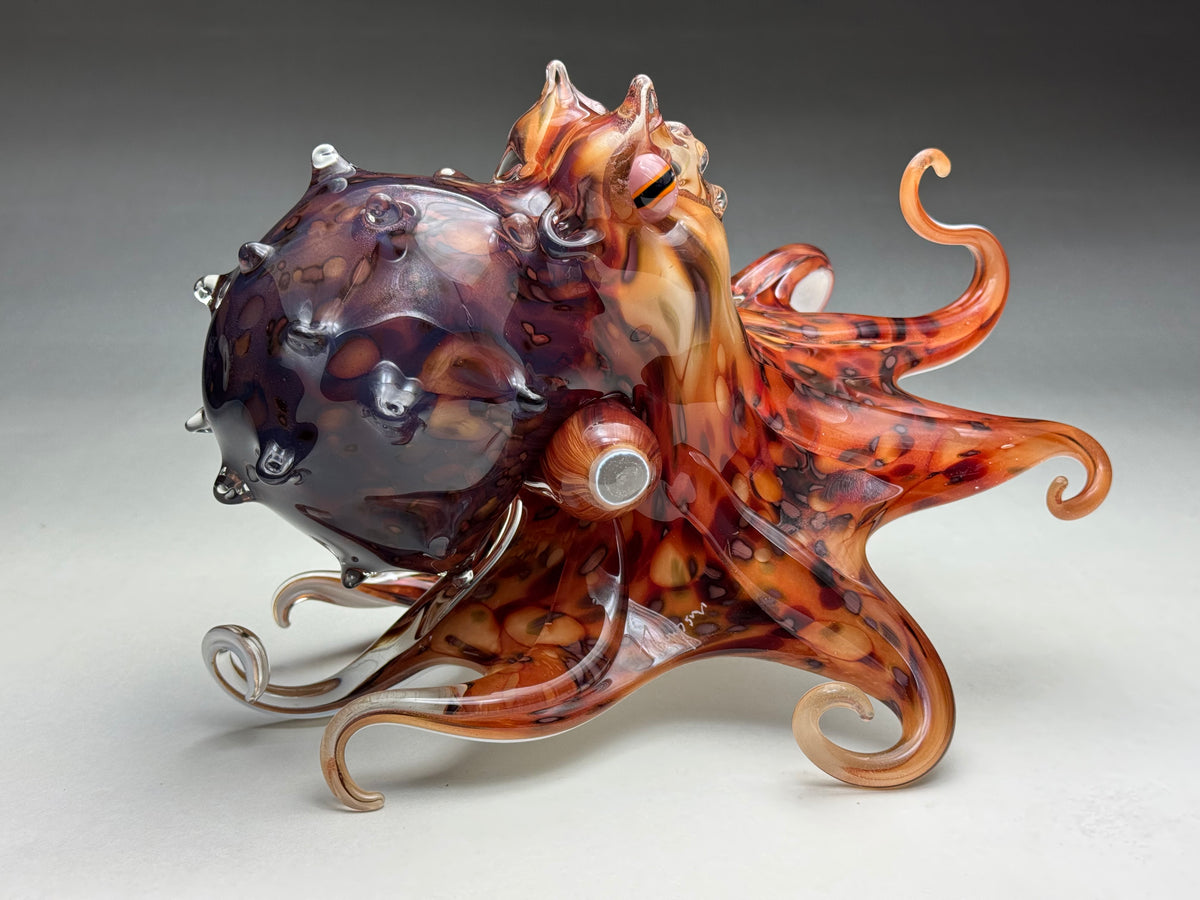 Pacific Octopus