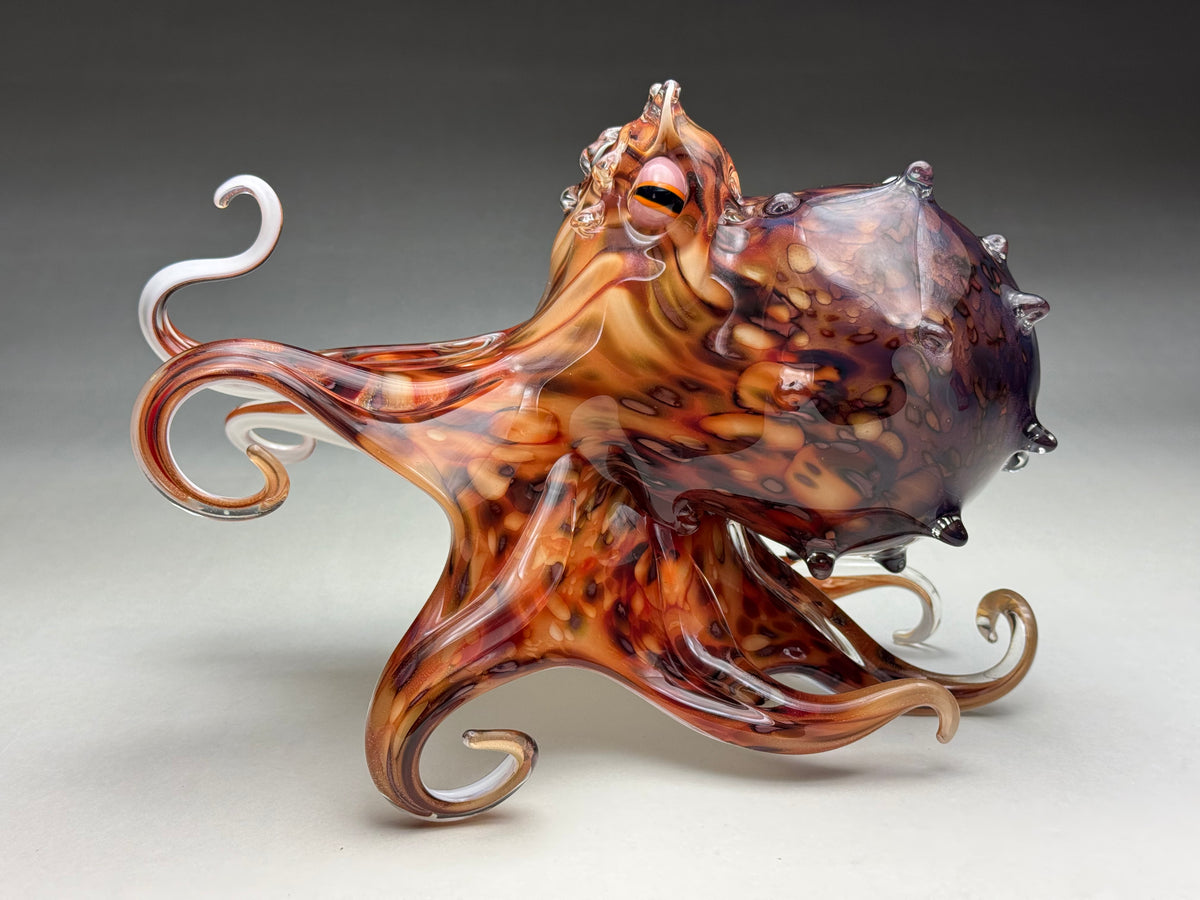 Pacific Octopus