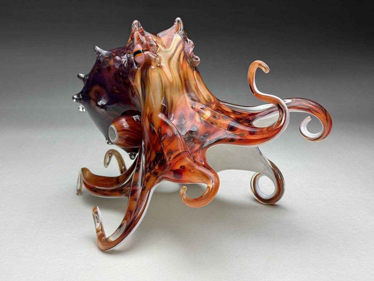 Pacific Octopus