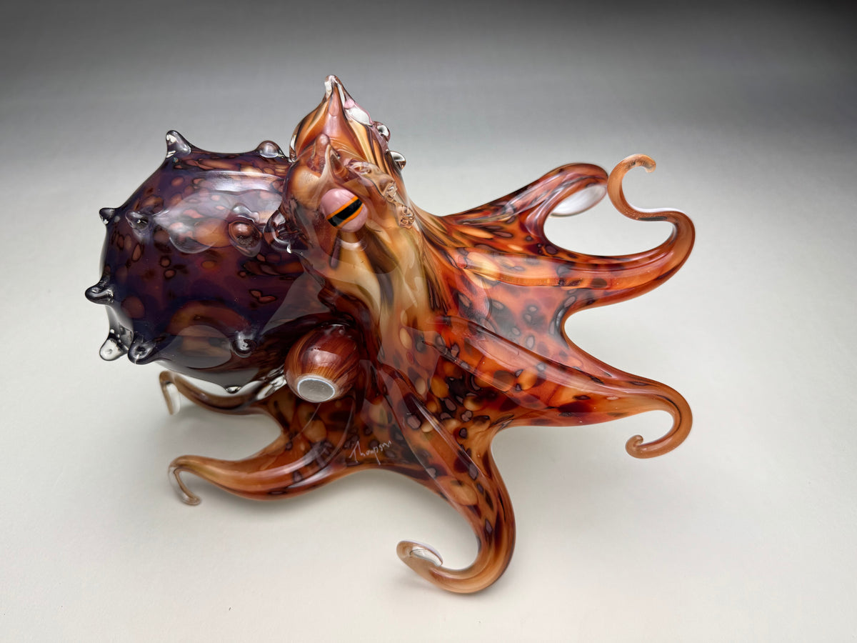 Pacific Octopus